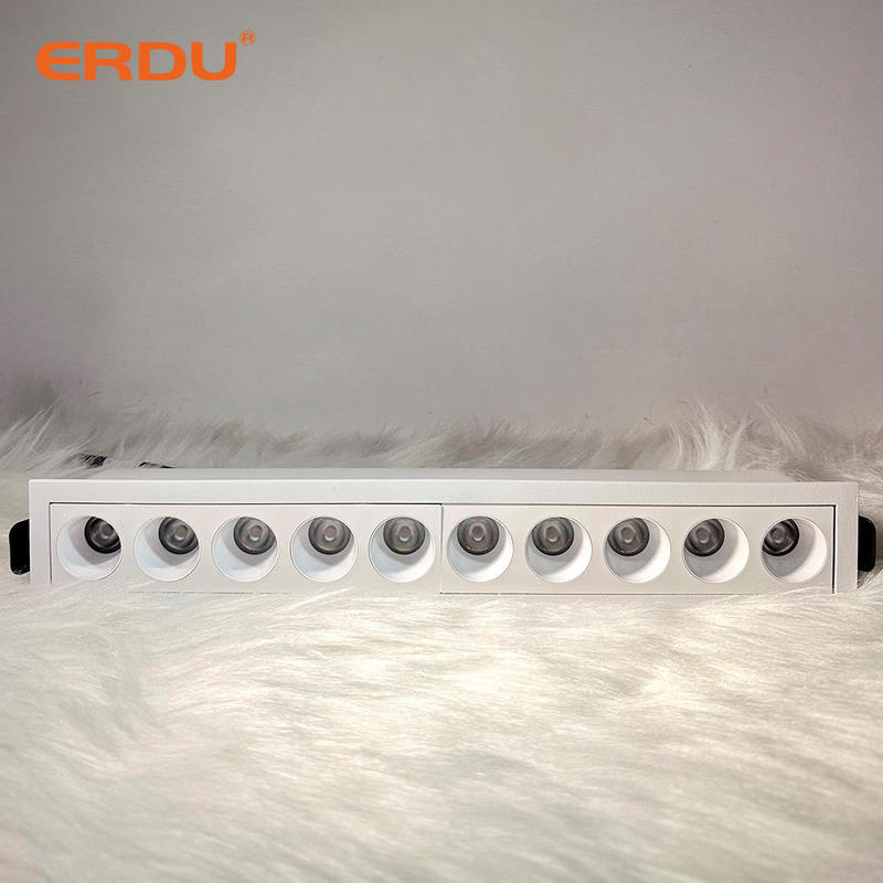 ERDU Recessed Linear Spot Light Led