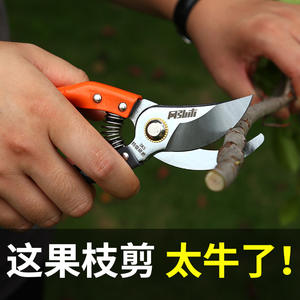 Tijeras de podar Basil Bypass de acero al carbono de 20-30 mm para árboles frutales, diseño de mariposa, mango naranja - Product Image 4