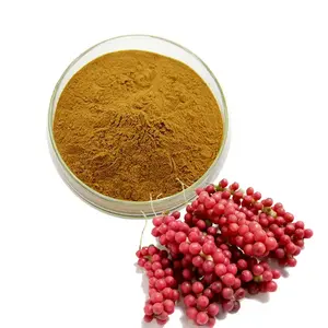 100% organik <span class=keywords><strong>Schisandra</strong></span> <span class=keywords><strong>Berry</strong></span> meyve özü tozu satış 9% Schizandrins 10:1 <span class=keywords><strong>Schisandra</strong></span> Chinensis özü - Product Image 1