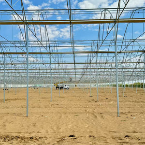 Multi Span Tunnel Fraise Gothique Serre Produit agricole à vendre - Product Image 3