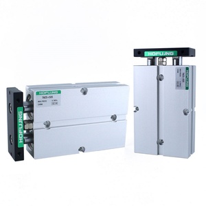 TN/TDA Series <b>Small</b> Pneumatic Dual Shaft Double Rod Piston Air Cylinder with Anti-Crash <b>Cushion</b>-Hofujng - Product Image 6