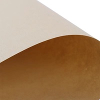 Large-sized Anti-Curl Recyclable Kraft Paper for Books Customizable Painting Kraft Cardstock Multiple Options