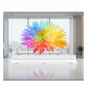 Écran <span class=keywords><strong>OLED</strong></span> transparent de 55 <span class=keywords><strong>pouces</strong></span> avec fonction SDK humanisée rentable pour une utilisation confortable de la télévision dans les magasins de détail et les salles d'exposition - Product Image 1
