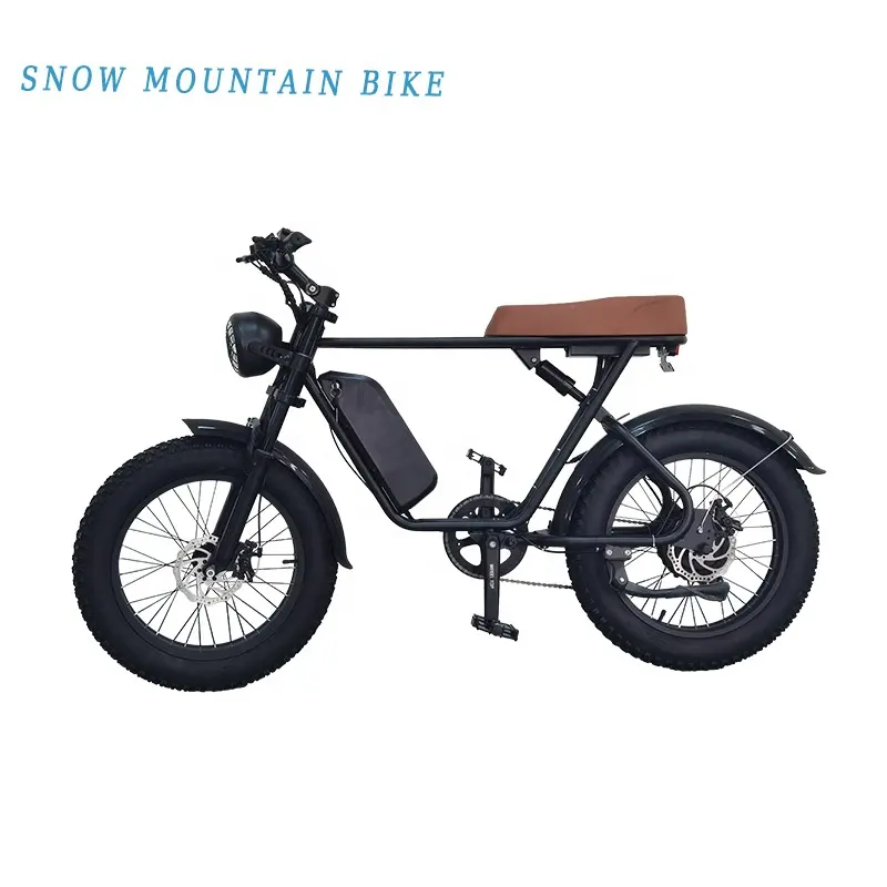 2023 Folding Electric Bicycle Hot Sell Off Road 500w 35km/h Adjusted Electric Hybrid Bike Fat Tire with Lights for Adult