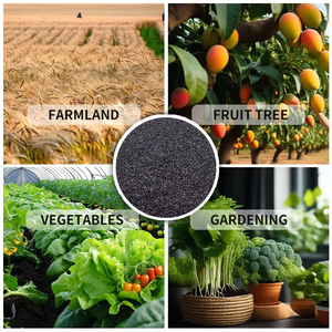 Bán Buôn Hữu Cơ Chiết Xuất Rong Biển Phân Bón ascophyllum Nodosum Phun Bột Nhanh Chóng Rong Biển Chiết Xuất Bột Màu Đen - Product Image 6