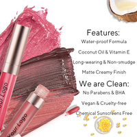Ensemble de maquillage tendance pour la Saint-Valentin, gloss à lèvres mat en gelée, velouté, longue tenue, hautement pigmenté, nude, imperméable, pour filles et femmes