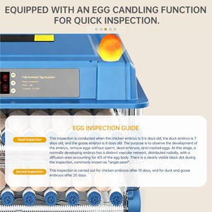 Недорогая полностью автоматическая инкубационная машина для выведения яиц с интеллектуальной системой управления - Product Image 4