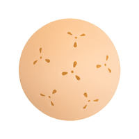 Vente en gros de cache-tétons ronds en silicone de 8 cm, invisibles et respirants, pour femmes, personnalisables OEM