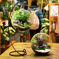 Vase en verre pour décoration de terrarium de fleurs et plantes, fabrication HDW, vente en gros à bas prix, pour la décoration de la maison