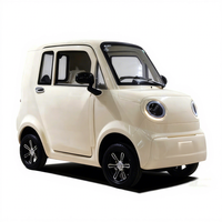 Mini véhicule électrique à faible vitesse sans permis de conduire, petite voiture électrique homologuée EEC L6e COC 25 km/h à vendre
