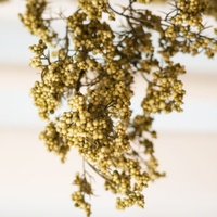 Branche artificielle en mousse de baies de houx et de fruits, plante verte d'océanique orange pour la décoration d'automne des mariages, des maisons, des salles et des jardins