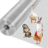 Cages à poulets galvanisées pour poules pondeuses, cages pour élevages avicoles avec installation facile et durabilité