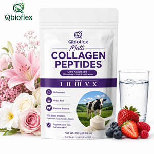 Poudre de collagène Qbioflex en gros OEM/ODM avec collagène de types I, II, III, V, X – Peptides de collagène non aromatisés en vrac - Product Image 1