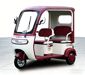 Tricycle Électrique de Loisirs à Corps Ouvert 60V 72V pour Adultes avec Toit, Vente Directe Usine, Alimentation 60V pour une Performance Optimale - Product Image 4