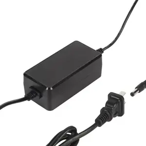 CE GS Certified EU US Plug 72W Switching Power Supply 12V 6A 24V 3A AC DC Adapter With Two Cables