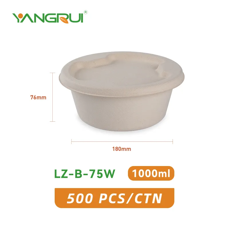 Compostable Eco Friendly 100% Natural Paper Pulp Takeout Tableware Disposable Biodegradable Food Container Bagasse To Go Box