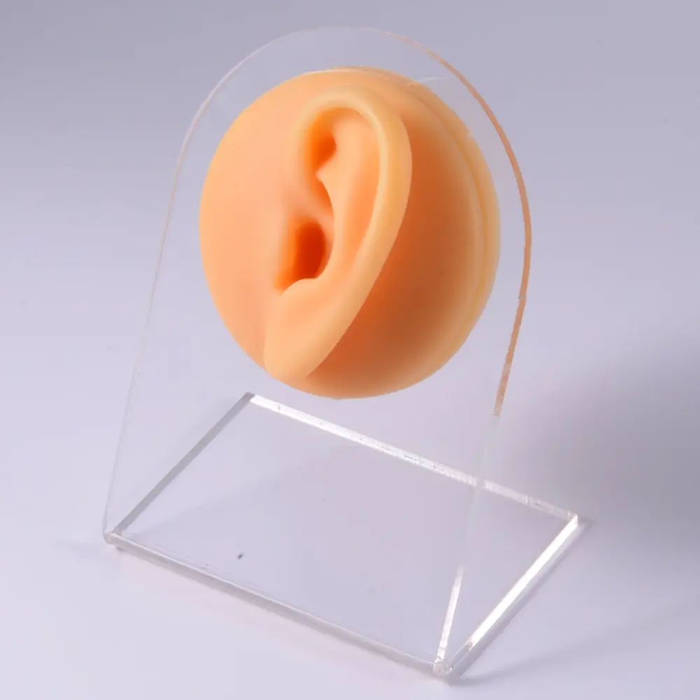 Newest Soft Silicone Ear Model Tattoo Practice Piercing Tools Ear Studs Earring Display Tool Acrylic Display Stand Kit