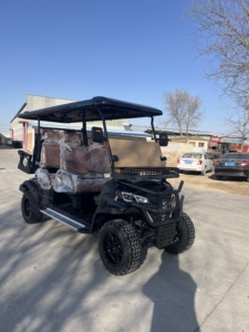 Xe điện golf hạng sang WELIFTRICH 6 chỗ ngồi, địa hình, sử dụng pin Lithium 72V, khung thép, không dùng xăng, xe điện 48V dành cho tham quan - Product Image 4