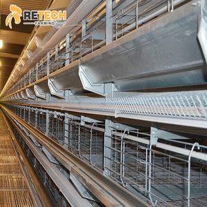 Poulailler de conception optimale, ferme avicole à batterie entièrement automatique, <span class=keywords><strong>cage</strong></span> à poulets à vendre - Product Image 6