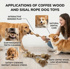Premium Coffee Wood Tug Toy with Sustainable Hemp Rope Non-Toxic Dog Chew Stick for Dental Hygiene Pet Supplies Factory - Product Image 6