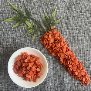D011 Granuli di Carota Disidratati, Condimento Istantaneo per Noodles, Mix di Verdure Essiccate per Alimenti per Animali - Product Image 2