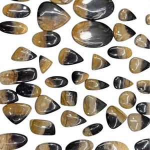 Gemas Sueltas de Raíz de Palma Natural, Cabujones Pulidos de Diferentes Formas y Tamaños, Cristales para la Fabricación de Joyas y Colgantes, FAIJAN GEMS Modelo A95 - Product Image 1