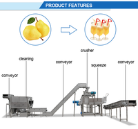 Commerciële Vruchtensap Plant Mango Appel Ananas Juicer Persen Fruit Groenten Sap Maken Productielijn Compleet