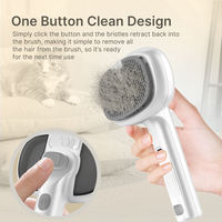 Nouvelle brosse lissante à vapeur pour animaux de compagnie, auto-nettoyante, rechargeable, écologique, en acier inoxydable, pour chats, antistatique
