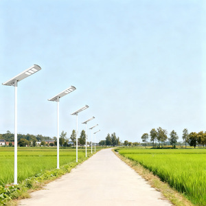 Lampadaires solaires à détection de présence humaine avec LED ultra-lumineuses et étanchéité IP65 pour l'éclairage routier et l'éclairage extérieur LED - Product Image 5