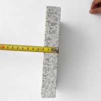Granit gris clair naturel de style moderne, finition brûlée, pour mur extérieur, pose murale, G303, découpé sur mesure, garantie 2 ans, directement de l'usine