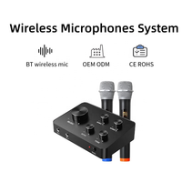 Meilleur microphone sans fil portable pour karaoké, mixeur double canal, son cristallin, système de cinéma maison portable, idéal pour les soirées TV et le divertissement