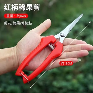 กรรไกรตัดผลไม้ สแตนเลส สีแดง แบบ Bypass ขนาด 10-20 มม. สำหรับตัดแต่งต้นไม้ผลไม้ - Product Image 2