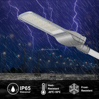 Lampadaire LED intelligent à puissance pleine, 5 ans de garantie, IP65, en aluminium, 50W, 100W, 150W, 200W, 300W, pour l'extérieur, pour la route