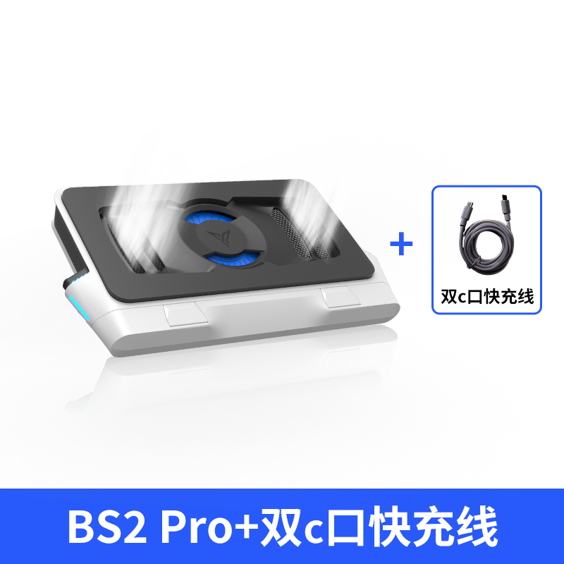 BS2Pro