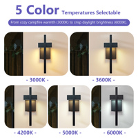 Lampu Dinding Luar Ruangan LED 12W Hemat Energi 5CCT Suhu Warna Dapat Disesuaikan CRI95 Finishing Hitam Modern Besi Kaca