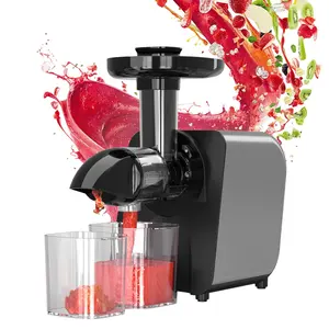 Espremedor lento de frutas todo 200w, espremedor de suco portátil de masticação lenta