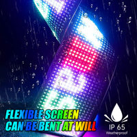 12V Dynamische Teufelsaugen LED-Autolichter Digitales Matrix-LED-Panel Augenlichtband für LKW