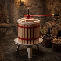 XH 12L Langzaamdraaiende Handmatige Houten Fruitpersmachine met Spirale Kern Multifunctioneel Eenvoudig te Gebruiken Commercieel Gebruik Model 001