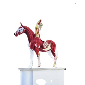 Escultura de Caballo Luminosa de Alta Calidad para Parques Temáticos, Fabricada en Fibra de Vidrio y Resina, para Exteriores - Product Image 1