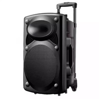 Enceinte portable Chigo pour danse en plein air, vente directe usine, système audio sans fil Bluetooth haute puissance avec subwoofer pour karaoké