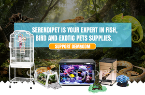 กระเป๋าใส่สัตว์ปีกแบบใส รูปทรงแคปซูลอวกาศ กระเป๋าเป้สะพายหลังสำหรับนกแก้ว นกค๊อกคาเทล กระเป๋าสำหรับขนส่งสัตว์เลี้ยง กระเป๋าไปโรงเรียน อุปกรณ์สำหรับนก - Product Image 6