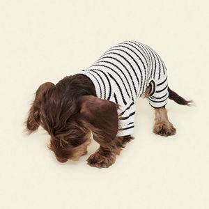 2026 İlkbahar Yeni <span class=keywords><strong>Dachshund</strong></span> Kıyafetleri Toptan Özel Tasarım Pamuklu Kazak Küçük Orta Büyük Köpekler İçin Lüks Moda Evcil Hayvan Giysisi - Product Image 1