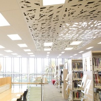 Tuiles de plafond en aluminium perforé personnalisées Lumière à LED Éclairage de fantaisie pour toiture de bureau décoratif