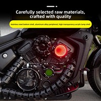 Couverture décorative lumineuse 12V modifiée Abyss pour Napoleon 450 Golden Cat 500/450/350 Gray Stone 250/300 Black Flag 500