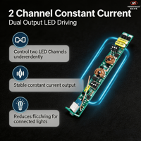 Driver LED WiFi & RF CC 10-42VDC 2CH*(150-500)mA 1.5-21W CXR-21A-2(WT) (Aplikasi Tuya)
