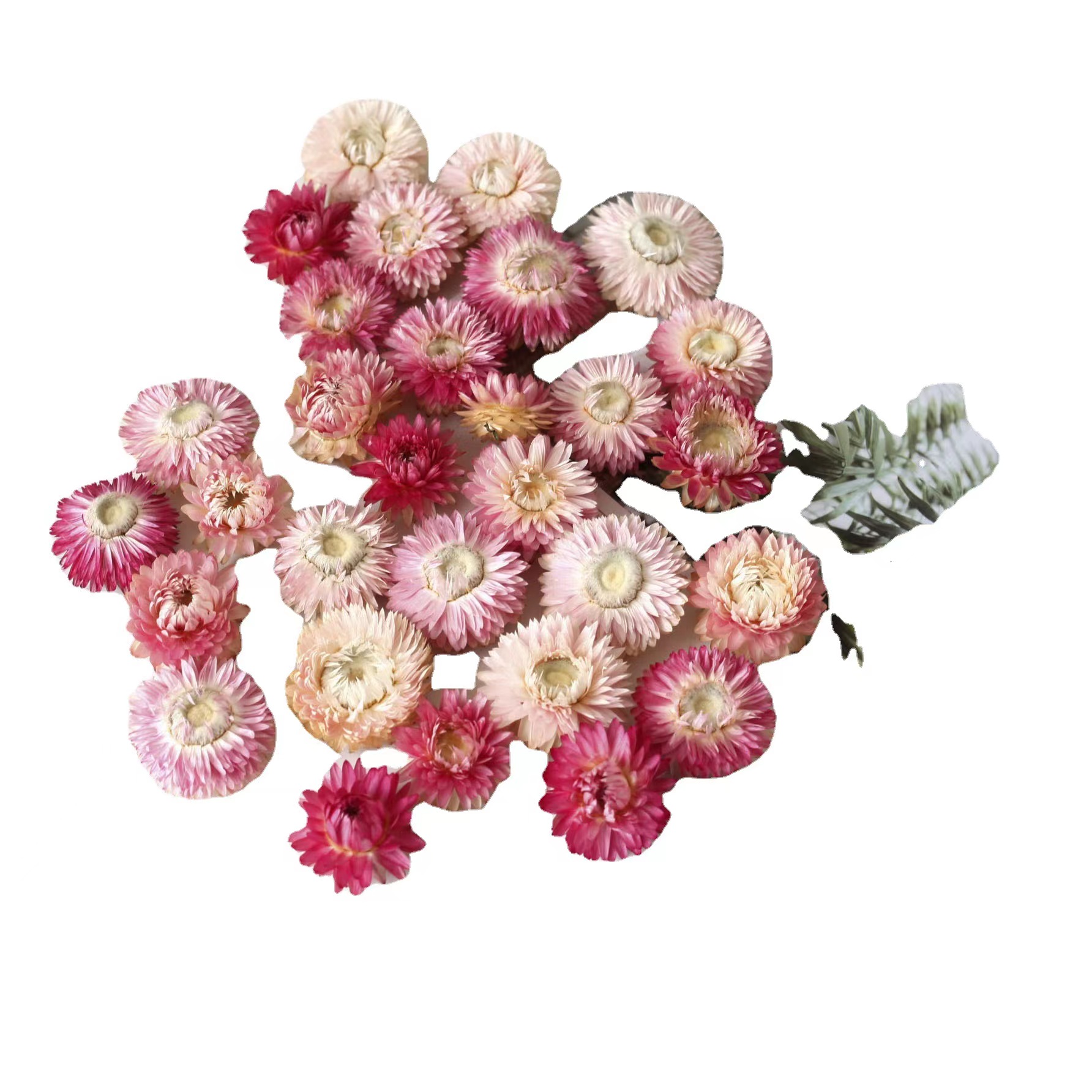 Pink 50g
