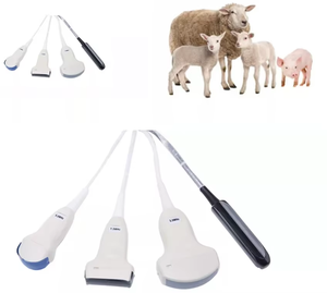 Máquina de escáner veterinario Sonda lineal Proveedor Veterinario Ultrasonido ultraportátil Máquina de ultrasonido animal - Product Image 5