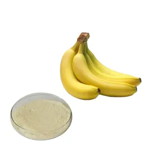 Poudre de fruits secs en Spray, vente en gros chinoise, poudre de banane pour aliments et boissons additifs