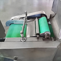 Commerciële elektrische gemotoriseerde 304 roestvrijstalen automatische groente- en fruitsnijder, aardappel-, ui- en wortelsnijder, -dicer en -hakker