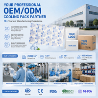 Paquete de Hielo Activado por Agua de Gran Tamaño, Reutilizable, para Envío en Cadena de Frío, Fábrica OEM
